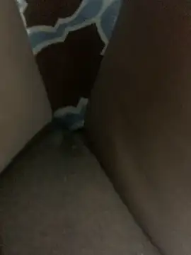 WyvaxxNikkie online show from 01.23.25