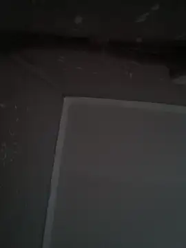 wlammi ptr online show from 12.19.25