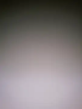 Dorset8360 online show from 01.10.25