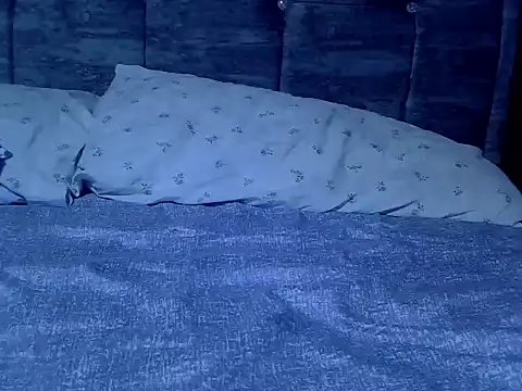 Lutyie online show from 03.11.26