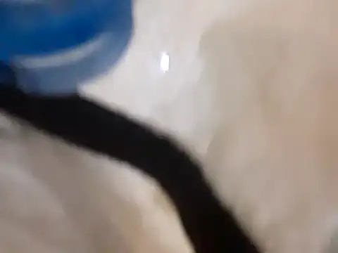 Snapshot of pedrodavid_ chatting on 03.14.25 pedrodavid  online show from 03.14.25