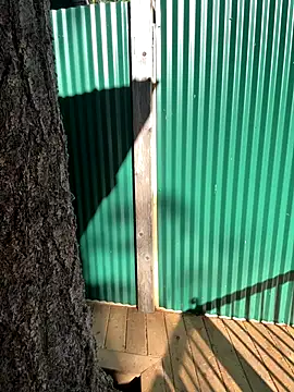 twist699 online show from 11.04.25