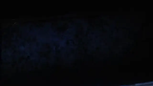 joeydee1 online show from 02.17.25