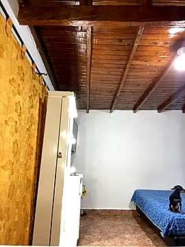 Zaratattoox online show from 12.01.25