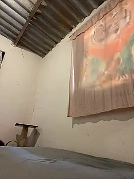 AlexaWarner online show from 01.11.26