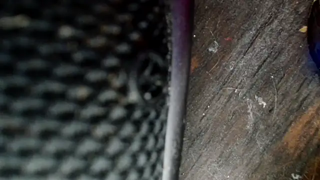 Gigadickman online show from 12.02.24