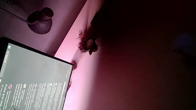 Gigadickman online show from 12.13.24