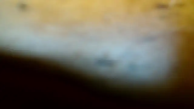 Gigadickman online show from 02.09.25