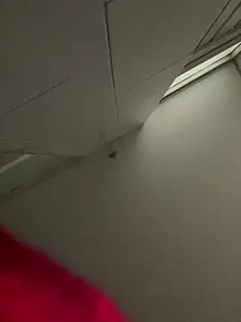 Zara dulce online show from 02.23.26