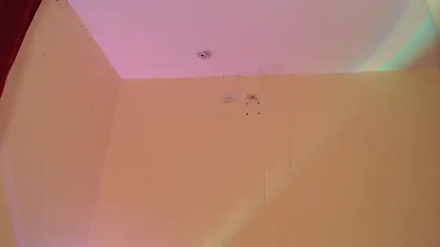 Snapshot of _maiahairy_ chatting on 12.31.24  maiahairy  online show from 12.31.24