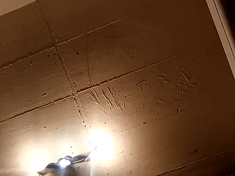 Timbojan28 online show from 05.03.26