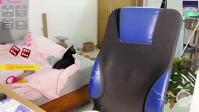 ashy 7999 online show from 03.14.26