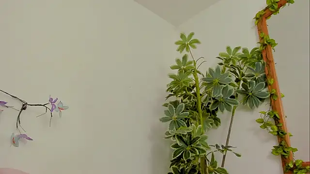 BonnieCute  online show from 03.17.26