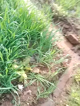 Sweet Dhara online show from 01.22.25