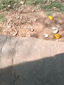 Sweet Dhara online show from 02.20.25