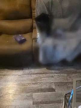 Snapshot of southwestbby chatting on 03.22.26 southwestbby online show from 03.22.26