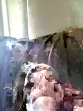 Pineapple04 online show from 03.26.26