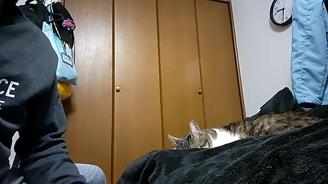 07YUKIO online show from 04.04.26