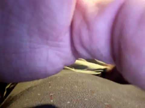 stavroun online show from 12.23.25