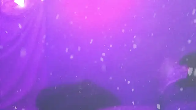 wowmelikez online show from 12.28.24