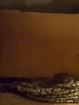 luke thighwalker2469 online show from 02.08.25