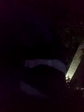 mis312 online show from 11.18.25