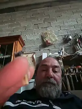 ros217 online show from 04.23.26