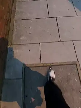 XMenX24 online show from 03.22.25