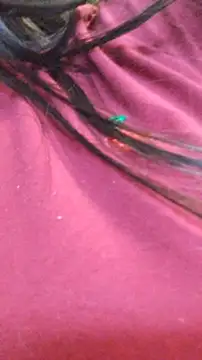 Snapshot of ailyn_miranda chatting on 11.29.25 ailyn miranda online show from 11.29.25