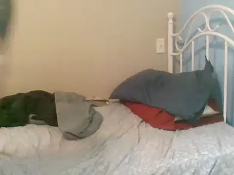 Snapshot of SmokingSloth chatting on 03.09.25 SmokingSloth online show from 03.09.25