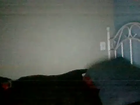 Snapshot of SmokingSloth chatting on 03.16.25 SmokingSloth online show from 03.16.25