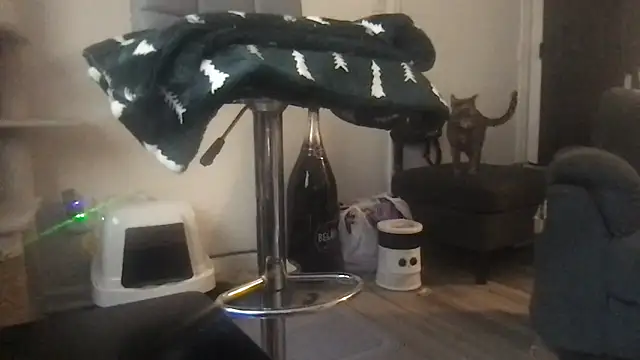 SpunCandy online show from 03.20.26