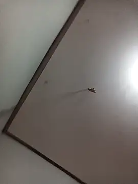 Snapshot of Ceccii chatting on 03.13.25 Ceccii online show from 03.13.25