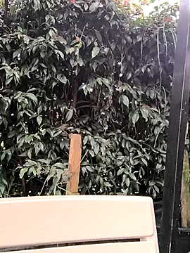 Snapshot of Fun_Everywhere chatting on 03.14.25 Fun Everywhere online show from 03.14.25