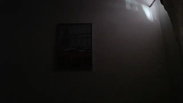 Snapshot of defuego_ chatting on 03.17.25 defuego online show from 03.17.25