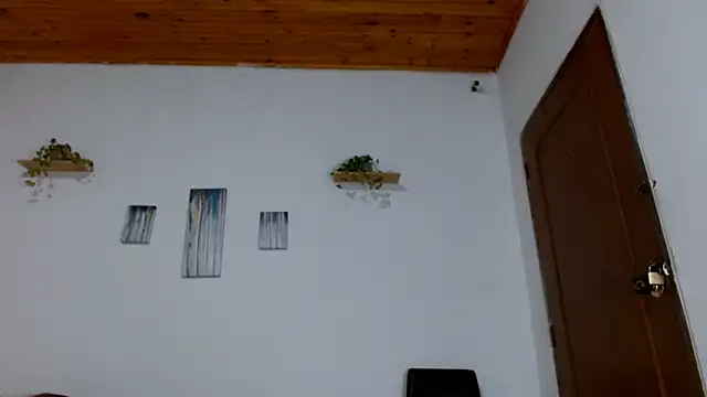 BrandonStond online show from 04.07.26