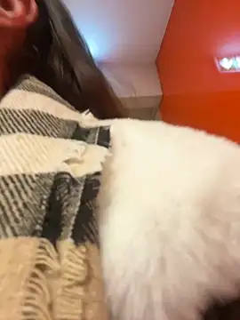 beautydiamond online show from 01.20.25