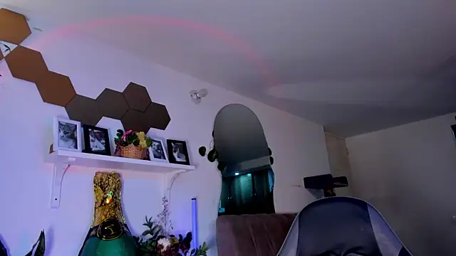 evy orange1 online show from 03.21.26