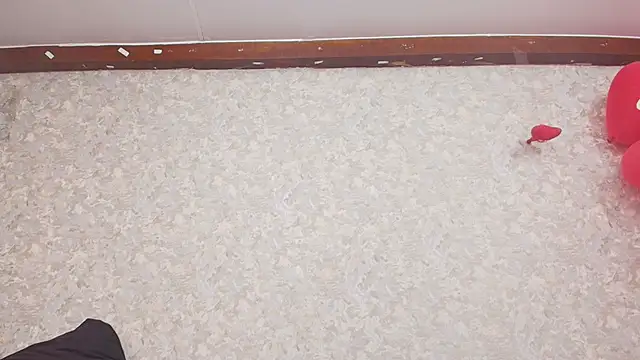 Snapshot of nicol_f chatting on 02.15.25 nicol f online show from 02.15.25