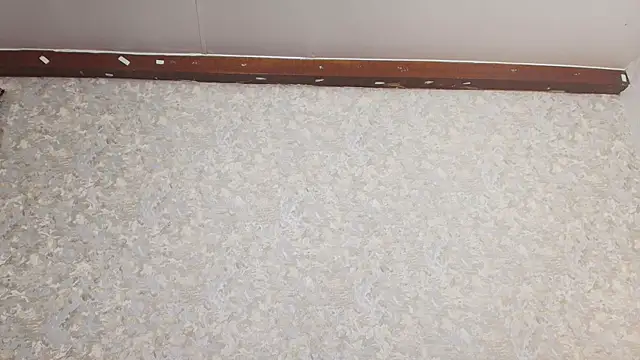 Snapshot of nicol_f chatting on 03.05.25 nicol f online show from 03.05.25