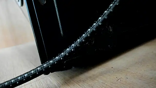 evely coelloo online show from 12.12.24