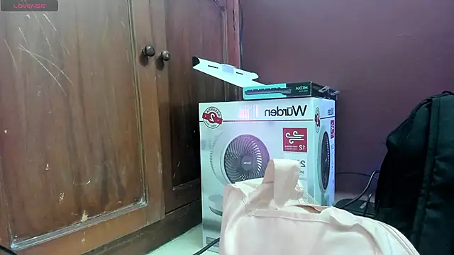 evely coelloo online show from 01.20.25