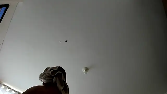 evely coelloo online show from 09.09.25