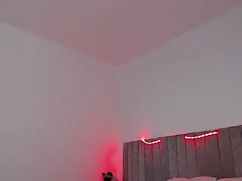 thomas gun online show from 11.07.25