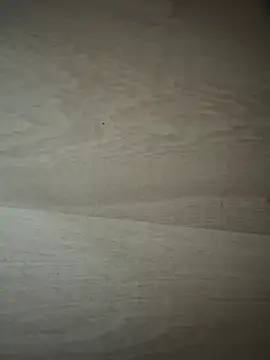 Snapshot of Joanachupa chatting on 01.18.26 Joanachupa online show from 01.18.26