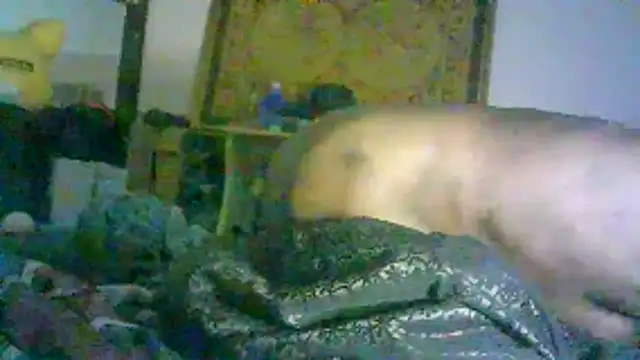 DI4MOND FIR3 online show from 02.02.26