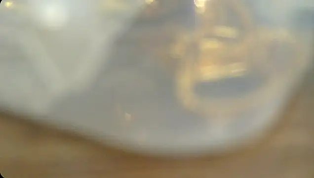 Rashisharma online show from 10.14.25