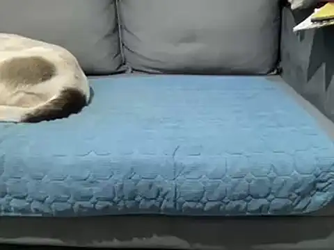 4small4inchlol online show from 02.25.25