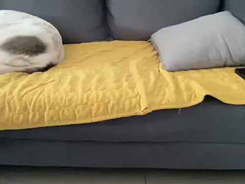 4small4inchlol online show from 10.13.25