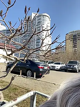 SandraCarter online show from 03.08.25